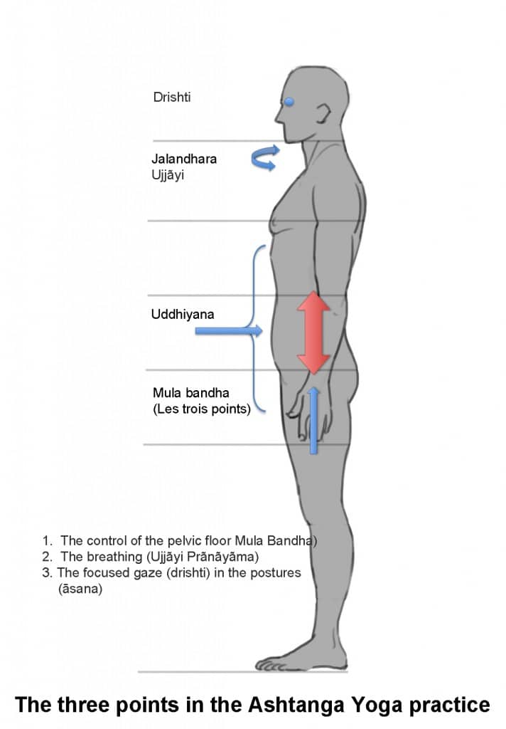 the-3-points-ashtanga-yoga-en-712×1024