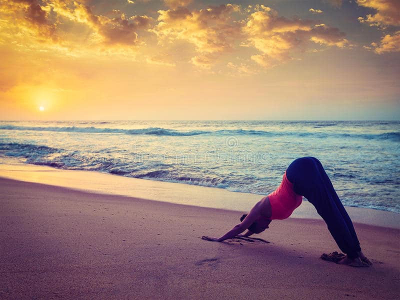 young-sporty-fit-woman-doing-yoga-beach-sunset-vintage-retro-effect-filtered-hipster-style-image-outdoors-ashtanga-81477608
