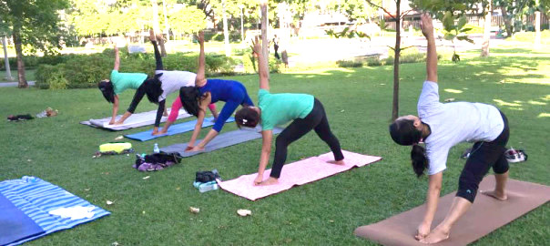 th_IMG_6998-604×270