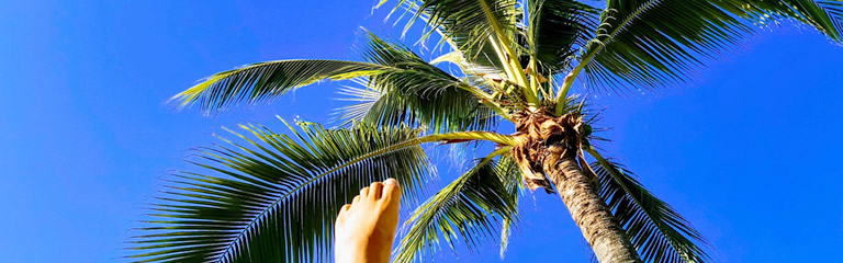 swell_profile_bg
