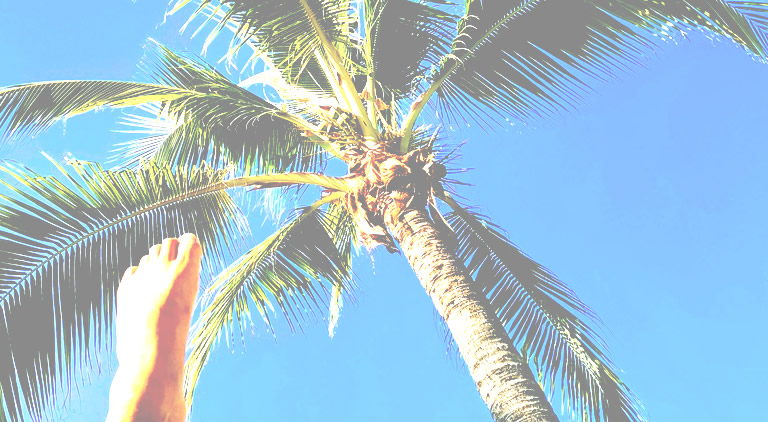 swell_profile_bg2